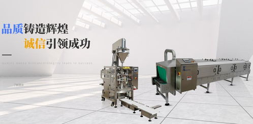 品質(zhì)鑄造輝煌，誠信引領(lǐng)成功——達和榮藝包裝機械的卓越之路